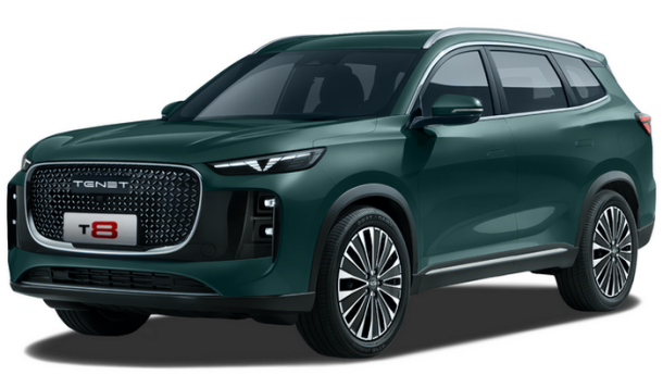 Автомобильные коврики EVA 3D для TENET T8 3 ряда (2025->)